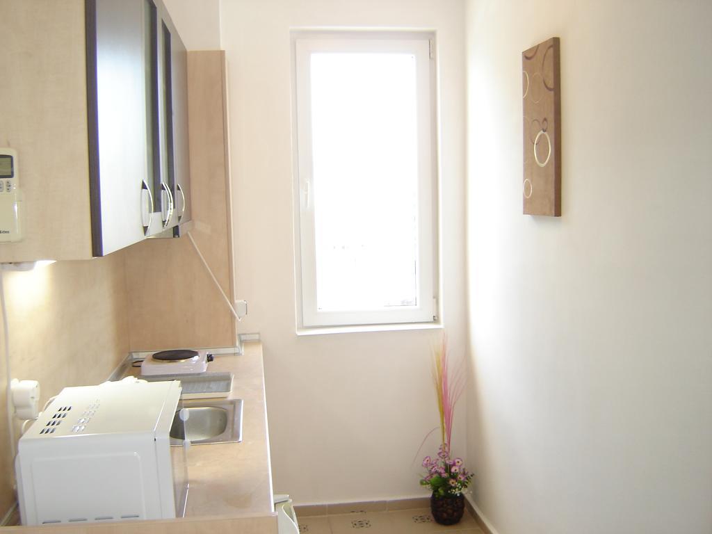 Apartment Viva Slăntjev Brjag Rum bild