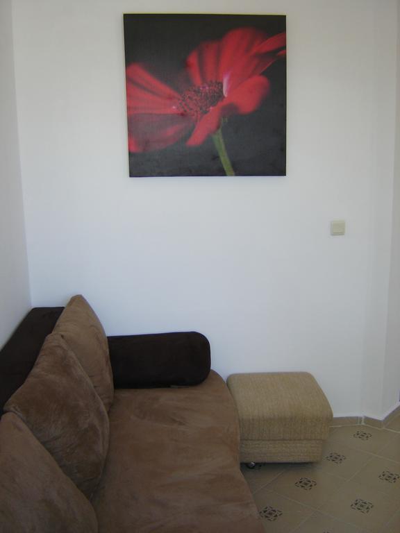 Apartment Viva Slăntjev Brjag Rum bild